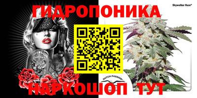 мет Можга
