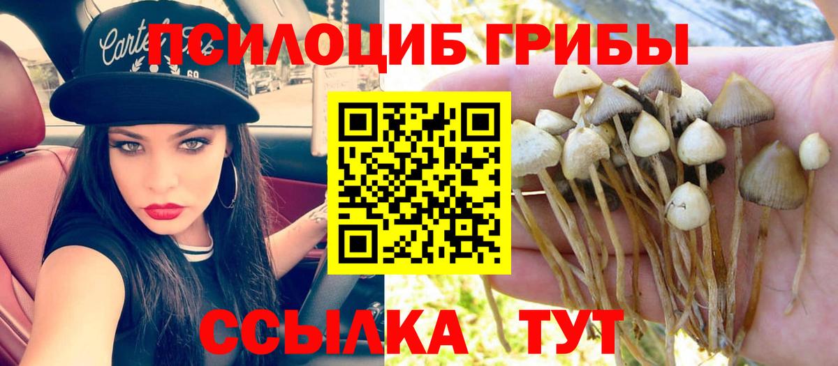 Галлюциногенные грибы Cubensis Тула