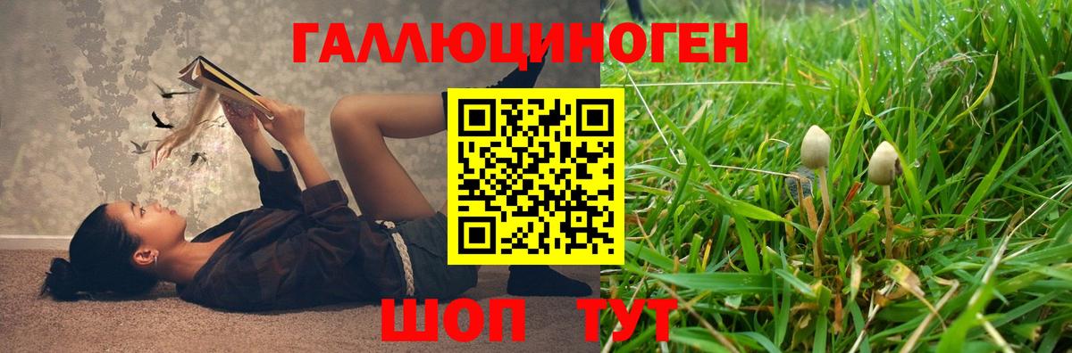 Тула  Псилоцибиновые грибы Cubensis  сколько стоит  Вход с VPN 
